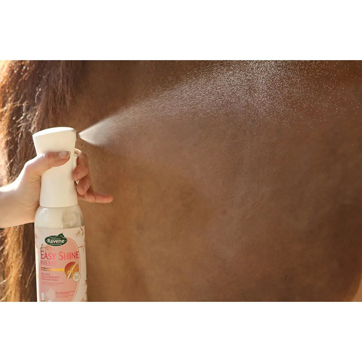 Ravene Easy Shine Intense Spray Overige - Afbeelding 2