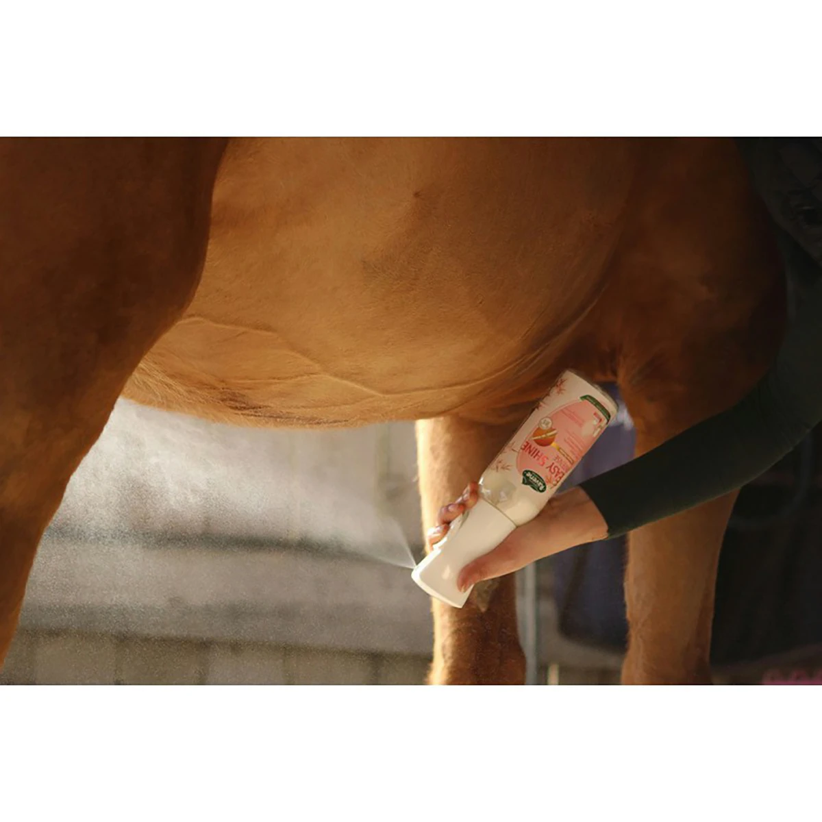 Ravene Easy Shine Intense Spray Overige - Afbeelding 4