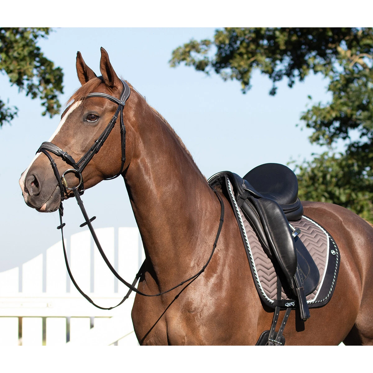 Zadeldek QHP Shiva Zwart-grijs - Afbeelding 3